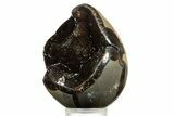 Septarian Dragon Egg Geode - Sparkly Black Crystals #344438-2